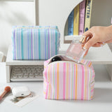 Small Seersucker Stripe Pouch